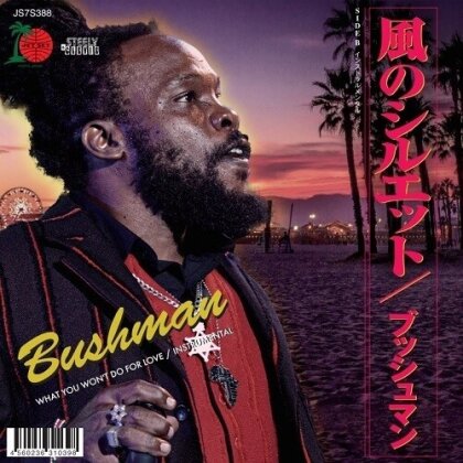 Bushman - What You Won't Do For Love (7" Single)