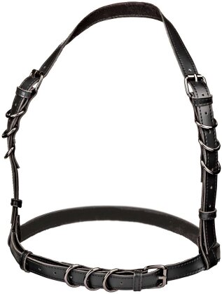 Halter Buckle Harness
