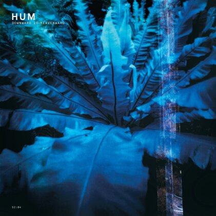 Hum - Downward Is Heavenward (2023 Reissue, 2 LPs)