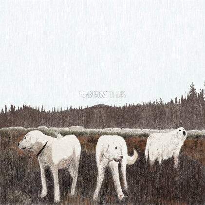 Foxing - Albatross: Ten Years (Brown Vinyl, LP)