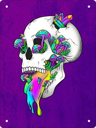 Psychedelic Rainbow Skull - Mini Tin Sign