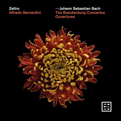 Johann Sebastian Bach (1685-1750), Alfredo Bernardini & Zefiro - The Brandenburg Concertos - Ouvertures (3 CD)