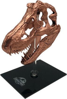 Jurassic Park - T-Rex Skull Scaled Prop Replica