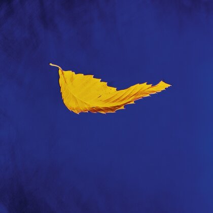 New Order - True Faith (2023 Reissue, 2023 Remaster, Rhino, LP)