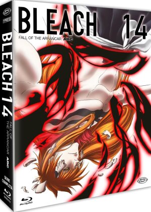 Bleach - Arc 14 - Part 1: Fall of the Arrancar (First Press Limited Edition, 4 Blu-rays)