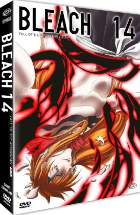 Bleach - Arc 14 - Part 1: Fall of the Arrancar (First Press Limited Edition, 4 DVD)
