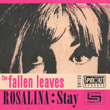 Fallen Leaves - Rosalina/Stay (7" Single)