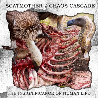Scatmother & Chaos Cascade - Insignificance Of Human Life (Limited Edition)