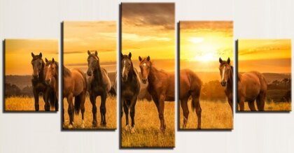 Diamond Painting Horses/Pferde 5-teilig