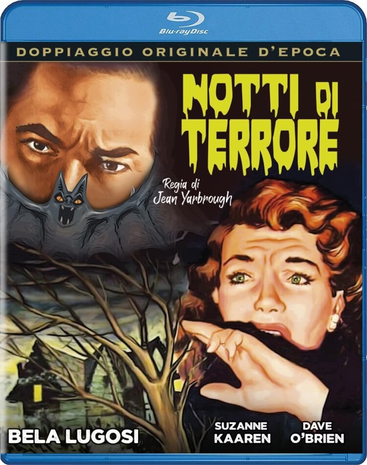 Notti di terrore (1940)