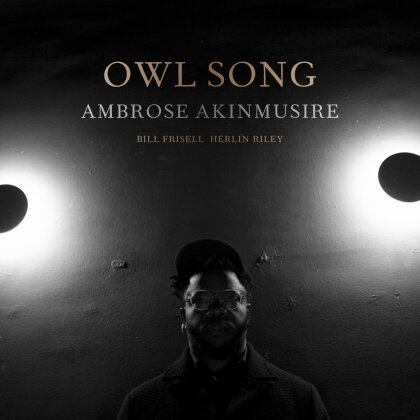 Ambrose Akinmusire - Owl Song (LP)