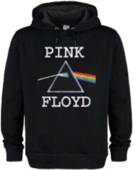 Pink Floyd: Dark Side of the Moon - Amplified Vintage Hoodie Sweatshirt