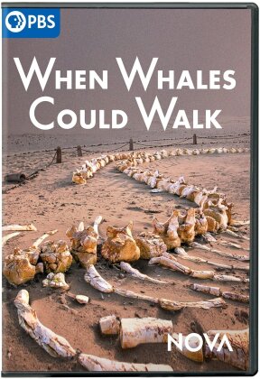When Whales Could Walk (NOVA)