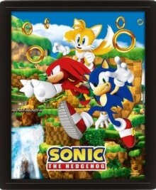 Sonic The Hedgehog - Sonic The Hedgehog (Catching Rings) Framed 3D