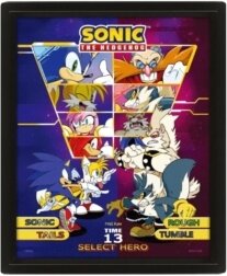 Sonic The Hedgehog - Sonic The Hedgehog (Select Your Fighter) Framed 3D