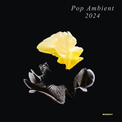 Pop Ambient 2024 (LP)