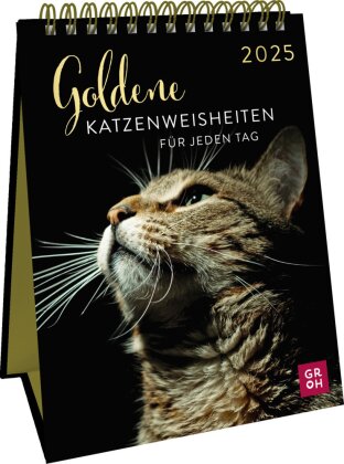 Wochenkalender 2025 - Goldene Katzenweisheiten für jeden Tag
