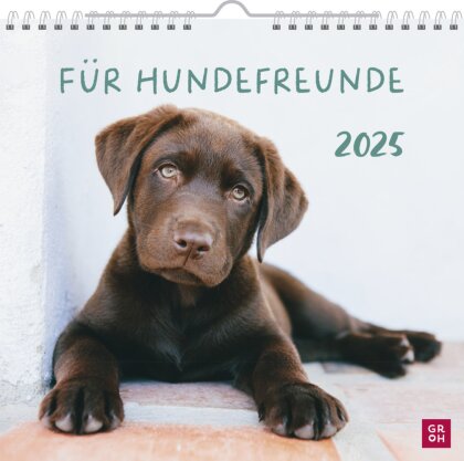Wandkalender 2025 - Für Hundefreunde