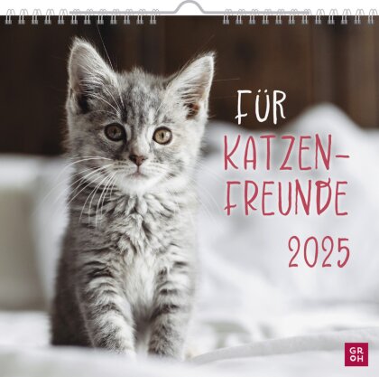 Wandkalender 2025 - Für Katzenfreunde