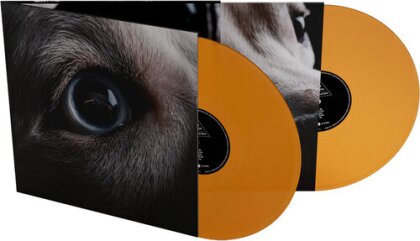 Roger Waters - Dark Side Of The Moon Redux (Limited Edition, Orange Vinyl, 2 LPs)