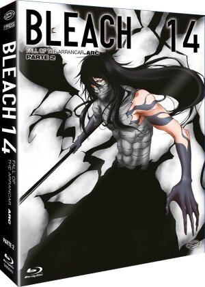 Bleach - Arc 14 - Part 2: Fall of the Arrancar (First Press Limited Edition, 4 Blu-ray)