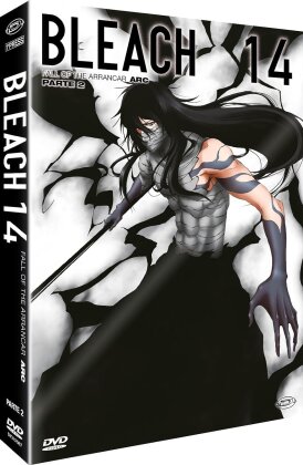 Bleach - Arc 14 - Part 2: Fall of the Arrancar (First Press Limited Edition, 4 DVD)