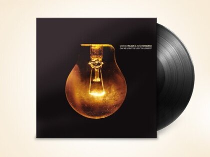 Damian Wilson - Can We Leave The Light On Longer (LP)