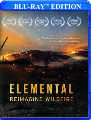 Elemental: Reimagine Wildfire (2023)