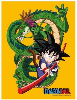 Poster avec Cadre - Goku & Shenron - Dragon Ball - 40 cm