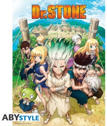 Poster - Groupe - Dr. Stone - 52 x 38 cm