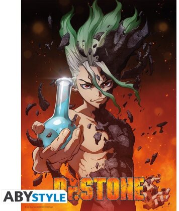 Poster - Senku - Dr. Stone - 52 x 38 cm