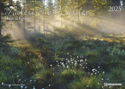 N NEUMANNVERLAGE - Malerische Wälder 2025 Wandkalender, 45x48cm, Kalender mit zwölf faszinierenden Bildern von Wäldern, Mondphasen, Spiralbindung und internationales Kalendarium