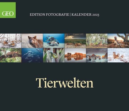 GEO Edition - Tierwelten Wandkalender 2025 - Beeindruckender Kalender für Tierfotografie, Großformat 70x60 cm, mit Einzigartigen Aufnahmen aus der Tierwelt
