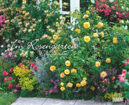DUMONT - Im Rosengarten 2025 Wandkalender, 52x42,5cm, Garten-Kalender mit eindrucksvollen Rosen-Motiven aus verschiedensten Gärten, deutsches Kalendarium, mit Spiralbindung