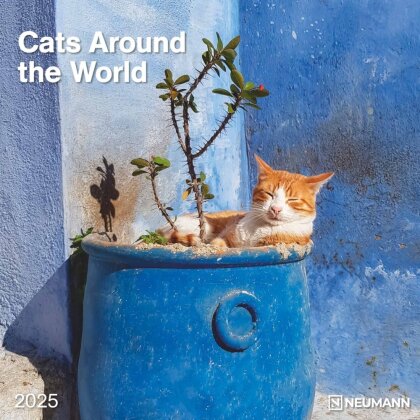 N NEUMANNVERLAGE - Cats Around the World 2025 Broschürenkalender, 30x30cm, Wandkalender mit Katzen-Motiven, internationalen Feiertagen und Mondphasen, viel Platz für Notizen