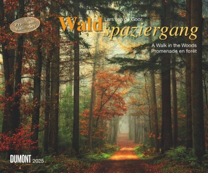 DUMONT - Waldspaziergang 2025 Wandkalender, 60x50cm, Fotokunst-Kalender mit beeindruckenden Fotografien aus dem Wald, im Querformat