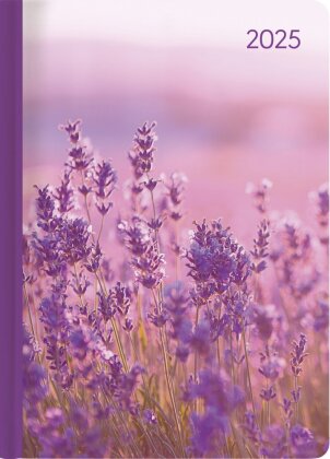 Alpha Edition - Ladytimer Lavender 2025 Taschenkalender, 10,7x15,2cm, Kalender mit 192 Seiten, Notizmöglichkeiten, Bucket List, Mondphasen und internationales Kalendarium