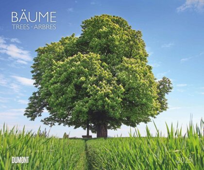 DUMONT - Bäume 2025 Wandkalender, 60x50cm, Fotokunst-Kalender mit Aufnahmen prächtiger Bäume, Abbildungen von Naturschönheiten aus aller Welt, mit Spiralbindung