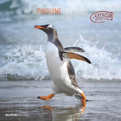 Alpha Edition - Pinguine 2025 Broschürenkalender, 30x30cm, Wandkalender mit Platz für Notizen und Termine, Motive von süßen Pinguinen, Monatsübersicht und Ferientermine DE/AT/CH