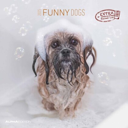 Alpha Edition - Funny Dogs 2025 Broschürenkalender, 30x30cm, Wandkalender mit Platz für Notizen und Termine, lustige Hunde-Motive, Monatsübersicht und Ferientermine DE/AT/CH