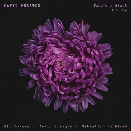 David Preston - Purple / Black Vol One (LP)