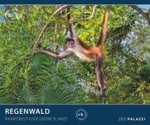 PALAZZI - Regenwald 2025 Wandkalender, 60x50cm, Posterkalender mit majestätischen Aufnahmen aus der grünen Wildnis, hochwertige Fotografie, eine Reise in die Tropen, internationales Kalendarium