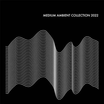 Medium Ambient Collection 2022 (2 LP)