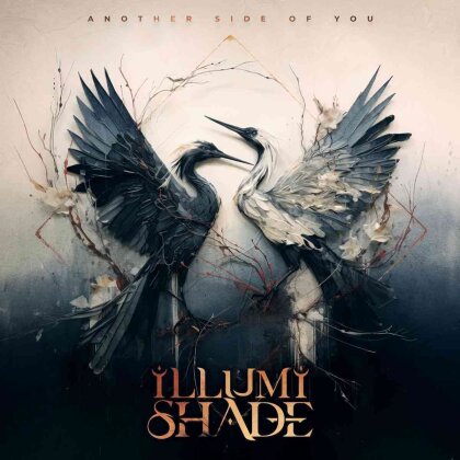 Illumishade - Another Side Of You (LP)