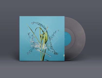 Fergus McCreadie - Stream (Clear Vinyl, LP)