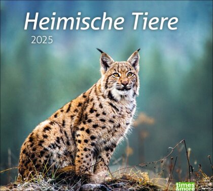 Heimische Tiere Bildkalender 2025