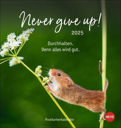Never give up! Postkartenkalender 2025