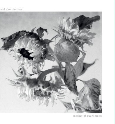 And Also The Trees - Mother-Of-Pearl Moon (LP)