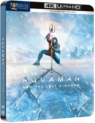 Aquaman e il regno perduto - Aquaman 2 (2023) (Cover 1, Édition Limitée, Steelbook, 4K Ultra HD + Blu-ray)