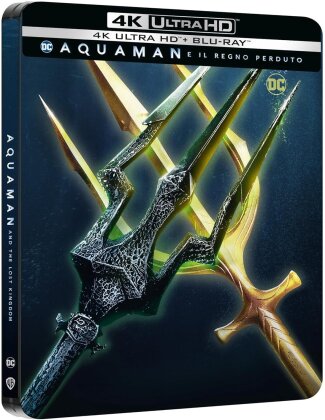 Aquaman e il regno perduto - Aquaman 2 (2023) (Cover 3, Édition Limitée, Steelbook, 4K Ultra HD + Blu-ray)